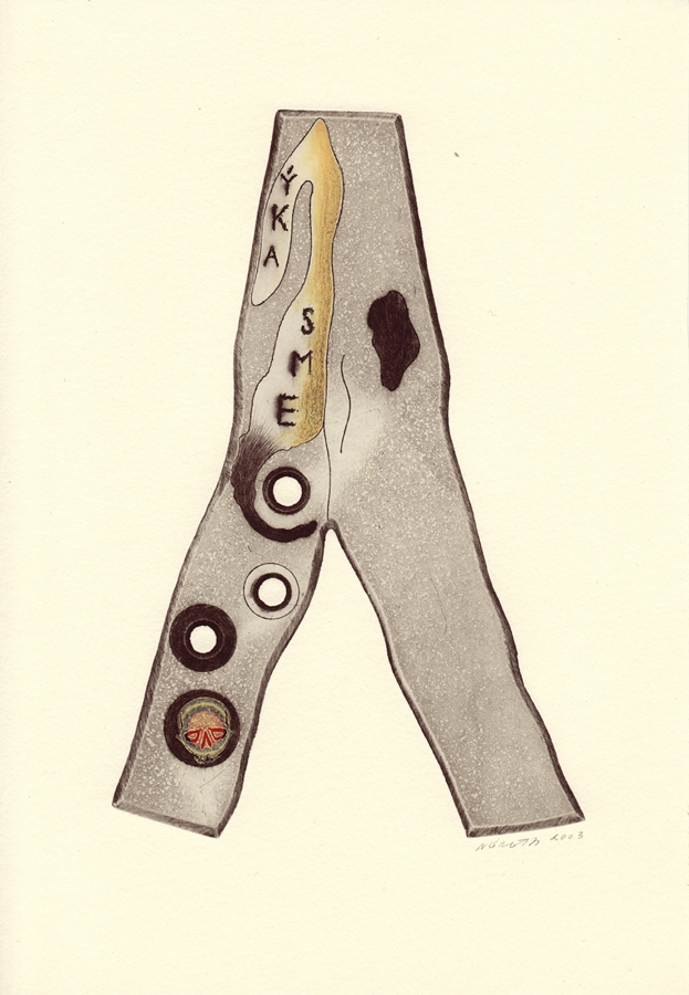 Question 4 (2) - What Are We Like ?, 2003, 20 x 13,8 cm, etching, aquatint, dry needle, water - colours, linocut