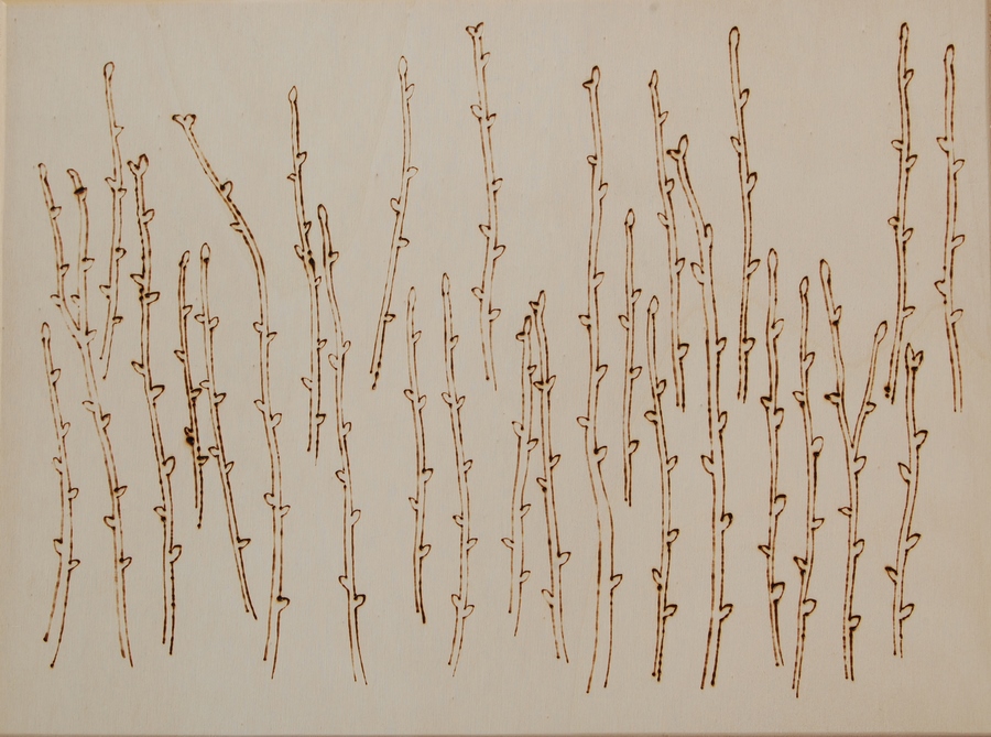 Spring, 2025, 30 x 40 cm, pyrography, wood