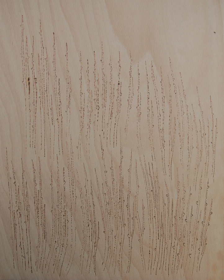 Hajtások, 2025, 50 x 40 cm, pyrography, wood